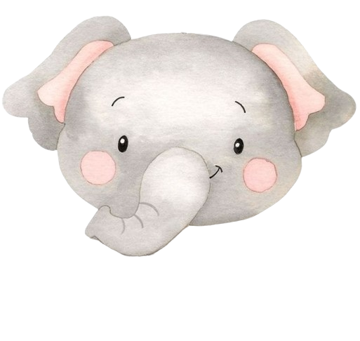Elefante cabeça