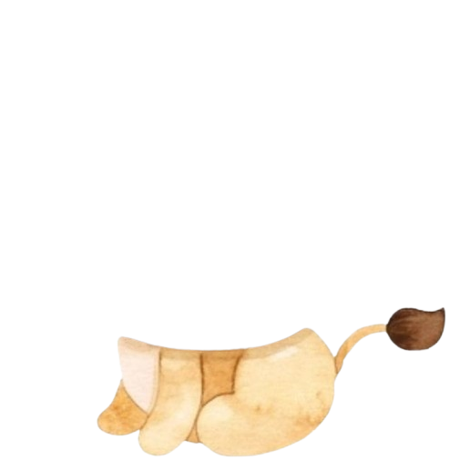 Leão